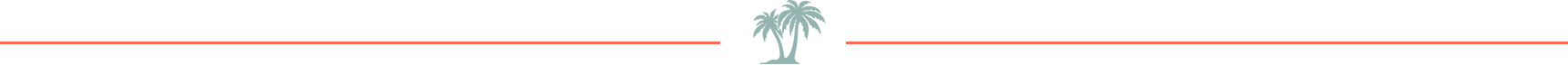 palm tree graphic and lines