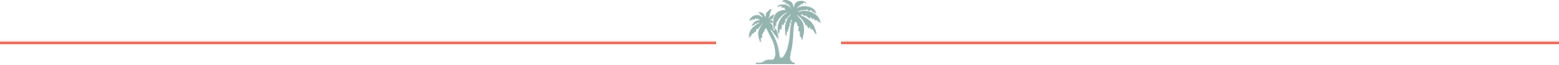Padre Island Rentals icon line